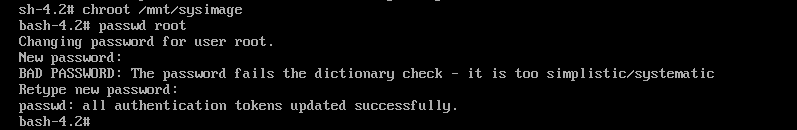 image-20240314155010902